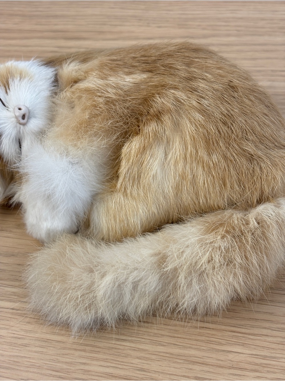 Realistic Sleeping Soft Faux Fur Kitten Figurine - Ginger & White - Picture 3 of 8